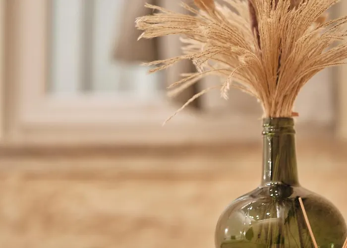 住宿加早餐酒店 La 1909 特拉尼